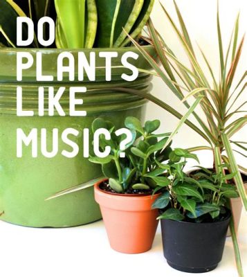 What Music Helps Plants Grow and the Unexpected Twist in Agricultural Acoustics